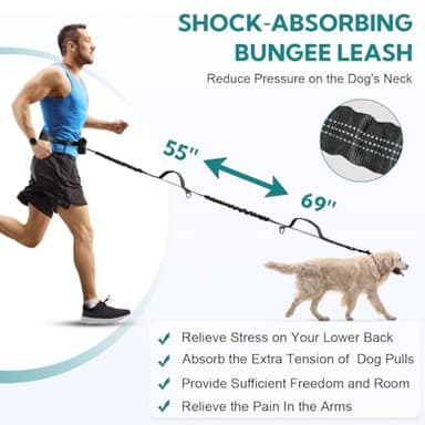 Yicostar Hands Free Dog Leash with Pouch, Retractable Bungee with Double Padded Handles, Dog Leashes with Bungee for Medium & Large Puppy - Image 2