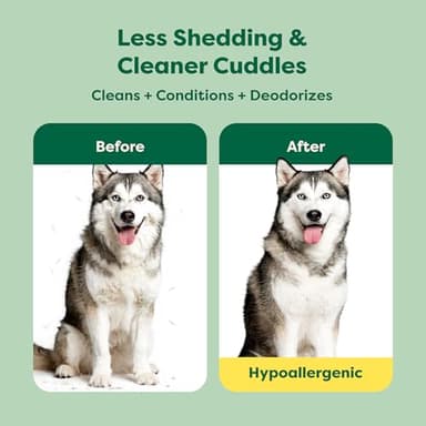 Earth Rated 3-in-1 Deshedding Dog Shampoo and Conditioner, Deodorizing Oatmeal Shampoos for Dogs and Puppies, Great for Smelly Pets, White Tea and Basil Scent, 16 oz - Image 2