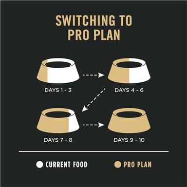 Purina Pro Plan Sensitive Skin and Stomach Dog Food Dry, Adult Salmon & Rice Formula, Digestive Health - 4 lb. Bag - Image 11