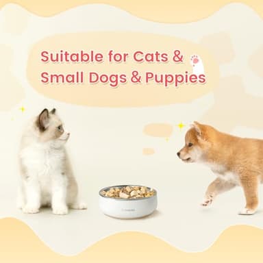 Pawaii Small Dog Bowls, 12 oz. Food Water Bowl Designed for Puppies and Cats with Non-Slip Rubber Base, Upgraded Metal Insulated, Double Stainless Steel Bowls - Image 9