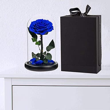 Preserved Roses Handmade Rose in Glass Dome, Preserved Flowers Never Withered Romantic Gifts for Her, Mother's Day, Birthday Gifts for Women (9 inch, Blue) - Image 3