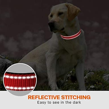 Taglory Reflective Dog Collar with Safety Locking Buckle, Adjustable Nylon Pet Collars for Large Dogs Female Male, Red, L - Image 5
