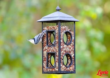 LEBANON SEABOARD SEED 26-47407 Delite Bird Food, 20 lb - Image 8