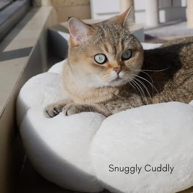petfelix Cat Beds for Indoor Cats, Machine Washable Non-Skid, Fluffy Flower Cat Bed Cute, Anti Anxiety Dog Beds for Toy Size Dogs, 20 * 20 Inches, Cream - Image 2