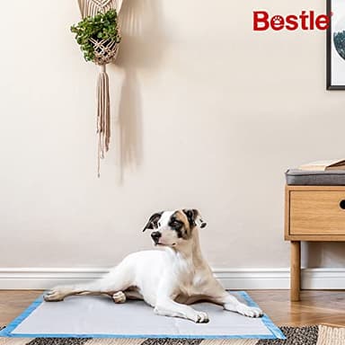 BESTLE Extra Large Pet Training and Puppy Pads Pee Pads for Dogs 28"x34" -40 Count Super Absorbent & Leak-Proof - Image 3