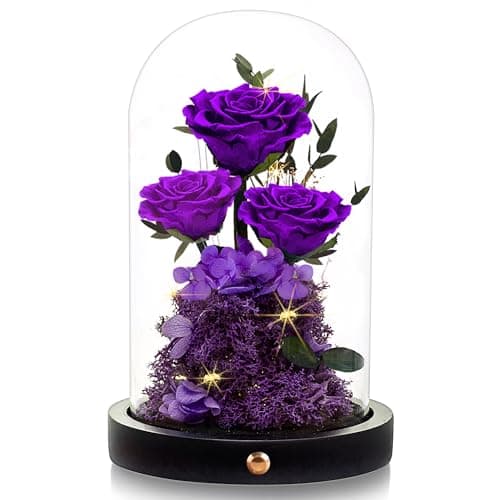 Agrul Flowers Roses Gifts for Mom,Forever Real Preserved Roses in Glass Dome,Mothers Day for Wife Girlfriend Women Best Friend Grandma/Purple Rose - Image 1