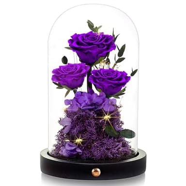 Agrul Flowers Roses Gifts for Mom,Forever Real Preserved Roses in Glass Dome,Mothers Day for Wife Girlfriend Women Best Friend Grandma/Purple Rose - Image 1