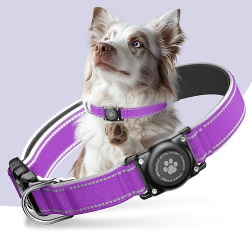 Airtag Dog Collar - 100% Waterproof Air tag Dog Collar Holder for Apple AirTag, Reflective, Soft Padded, Everlasting, GPS Dog Collar for Small Medium Large Dogs (Purple, M) - Image 1