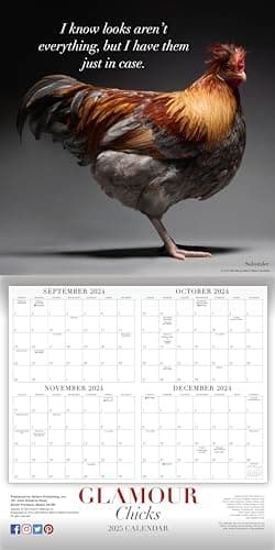 Glamour Chicks 2025 Wall Calendar, 16-Month Humor & Comic Calendar, 12" x 12" - Image 3