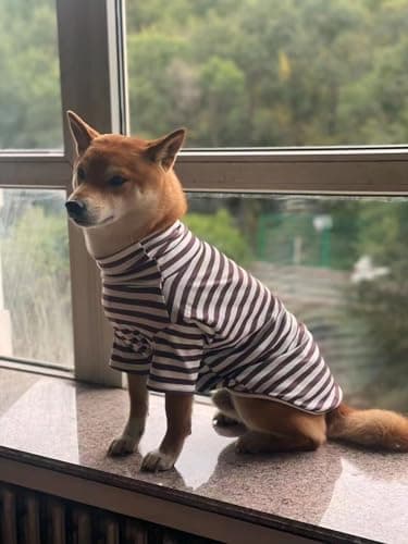 Turtleneck Dog Shirt Cute Doggie Embroidery Super Soft Dog Sweatshirt Stretchy Striped Puppy Pullover for Cats Small Medium Large Dogs (XXXX-Large, Brown Striped) - Image 5