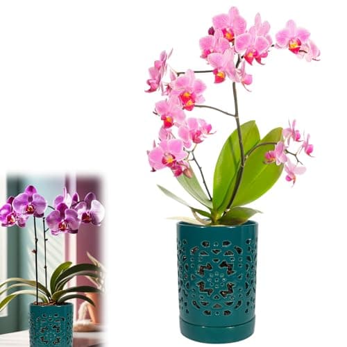 Exzzauk 4 Inch Orchid Pots with Holes, Garden Ceramic Orchid Pots with Separate Saucer for Indoor Outdoor Repotting (Green) - Image 1
