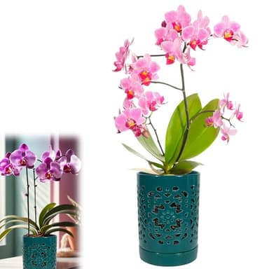 Exzzauk 4 Inch Orchid Pots with Holes, Garden Ceramic Orchid Pots with Separate Saucer for Indoor Outdoor Repotting (Green) - Image 1