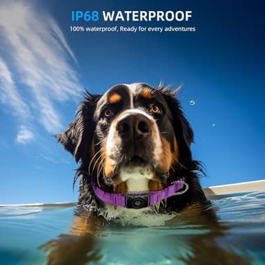 Upgraded AirTag Dog Collar, IP68 Waterproof Air Tag Dog Collar Holder, Reflective, Ultra-Durable, Comfortable Padded, Heavy Duty Dog Collars for Small Medium Large Dogs (M (12.6"-17.1"), Purple) - Image 2