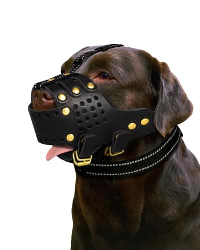 Dog Muzzle, Leather Basket Soft Muzzles Medium Large Breeds, Pitbull Dog Muzzle Amstaff Staffordshire Terrier, German Shepherd Dalmatian Doberman Adjustable (L) - Image 1