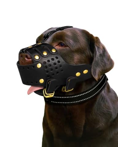 Dog Muzzle, Leather Basket Soft Muzzles Medium Large Breeds, Pitbull Dog Muzzle Amstaff Staffordshire Terrier, German Shepherd Dalmatian Doberman Adjustable (L) - Image 1