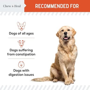 Organic Pumpkin Powder for Dogs - 4 oz w/ 5cc Scoop - Digestive Support & Fiber for Dogs - Natural Dog Food Additive for Dog Constipation Relief & Pumpkin Puree Substitute - Image 4