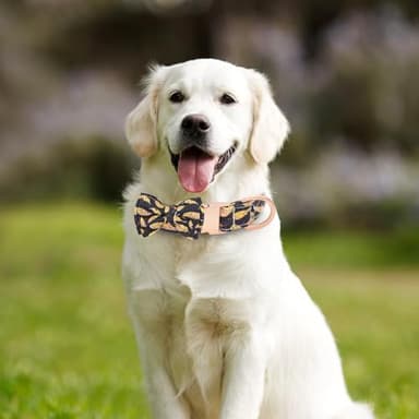 HSIGIO Dog Collar and Leash Set Adjustable Girls Puppy Floral Collars with Bow Tie for Small Medium Large Dogs(L, Feather) - Image 3