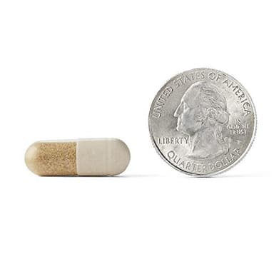 NEURIVA Ultra Decaffeinated Clinically Tested Nootropic Brain Supplement for Mental Alertness, Memory, Focus & Concentration, Cognivive, Neurofactor, Phosphatidylserine, Vitamins B6 B12, 60 Capsules - Image 18