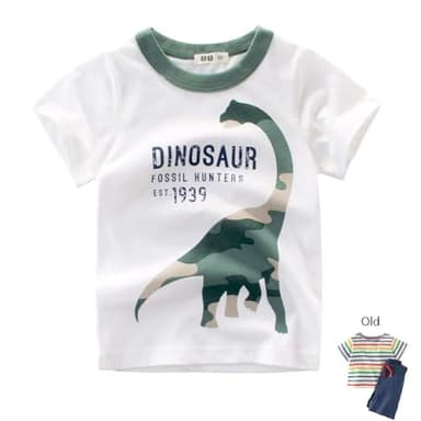 Frogwill Toddler Boys Dinosaur Camouflage Tee and Shorts Set 2-7Y 4T, D2 - Image 2