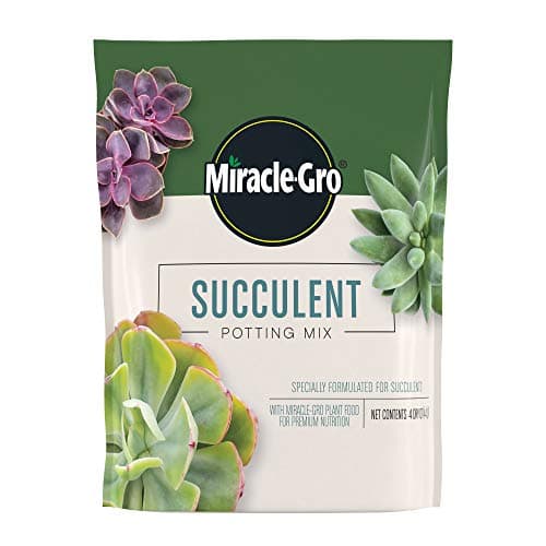 Miracle-Gro Succulent Potting Mix, For Indoor Succulents, Aloe Vera and More, Made with Miracle-Gro Plant Food, 4 qt - Image 1