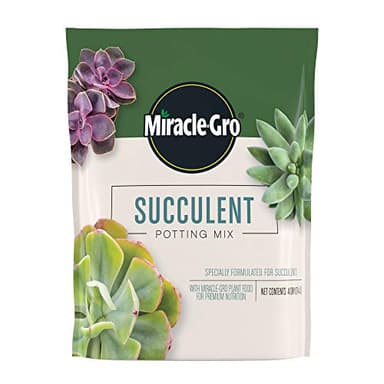 Miracle-Gro Succulent Potting Mix, For Indoor Succulents, Aloe Vera and More, Made with Miracle-Gro Plant Food, 4 qt - Image 1