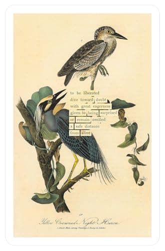 An Almanac of Birds: 100 Divinations for Uncertain Days - Image 10