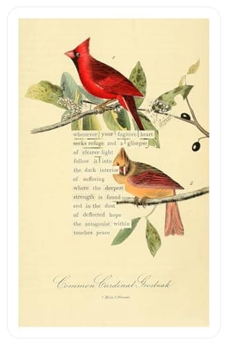An Almanac of Birds: 100 Divinations for Uncertain Days - Image 15