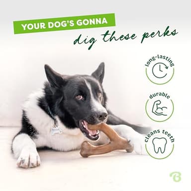 Benebone Wishbone Durable Dog Chew Toy for Aggressive Chewers, Made in USA, Large, Real Bacon Flavor - Image 3