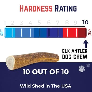 Devil Dog Pet Co. Elk Antlers for Dogs, Medium 5"+, 1 Pack, Grade A Long Lasting Chew for Aggressive Chewers, Premium USA Naturally Shed Antler – Healthy, No Odor, Durable Dog Chew - Image 7