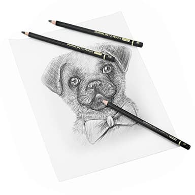 RVOGJP TAMATA Professional Drawing Sketching Pencil Set - 12 Pieces Art Graphite Pencils(12B - 4H), Ideal for Drawing Art, Sketching, Shading, for Beginners & Pro Artists - Image 6