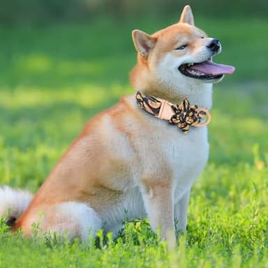 HSIGIO Dog Collar and Leash Set Adjustable Girls Puppy Floral Collars with Bow Tie for Small Medium Large Dogs(L, Feather) - Image 8