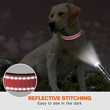 Taglory Reflective Dog Collar with Safety Locking Buckle, Adjustable Nylon Pet Collars for Large Dogs Female Male, Pink, L - Image 5
