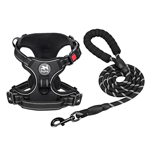 PoyPet Dog Harness and Leash Combo, Escape Proof No Pull Vest Harness, with 5 Feet Leash, Reflective Adjustable Soft Padded Pet Harness with Handle for Small to Large Dogs(Black,L) - Image 1