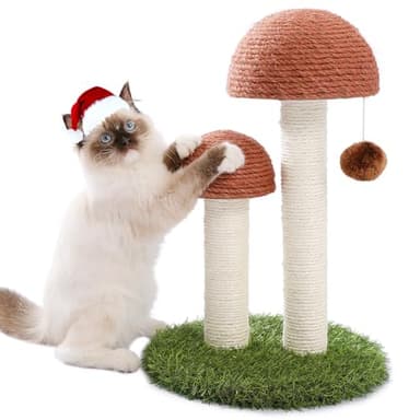 PETEPELA Cat Scratching Post, Mushroom Tall Cat Scratcher Featuring with Natural Sisal Scratching Poles and Interactive Toy Ball for Kittens and Small Cats (Brown) - Image 1