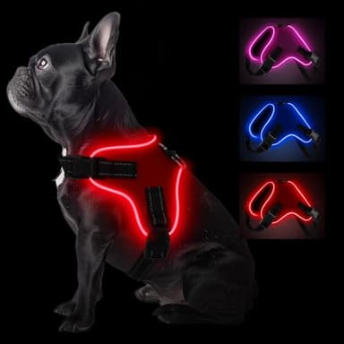 Pewkim Light Up Dog Harness, Led No-Pull Reflective Dog Vest, Breathable Adjustable Pet Harness with Handle for Outdoor Walking - No More Pulling, Tugging or Choking (Red, S) - Image 1