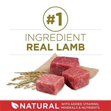 Purina ONE Dry Dog Food Lamb and Rice Formula - 31.1 lb. Bag - Image 3