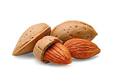 Watkins Pure Almond Extract, 11 oz. Bottle, 1 Count - Image 4