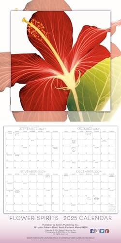 Flower Spirits 2025 Wall Calendar — Radiographs of Nature by Steven N. Meyers, 12" x 12" - Image 3