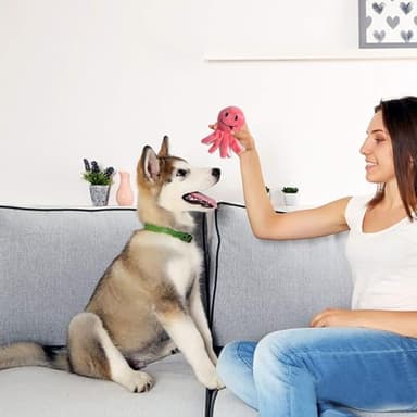 LEGEND SANDY Squeaky Plush Dog Toy Pack for Puppy, Small Stuffed Puppy Chew Toys 12 Dog Toys Bulk with Squeakers, Cute Soft Pet Toy for Small Medium Size Dogs - Image 7