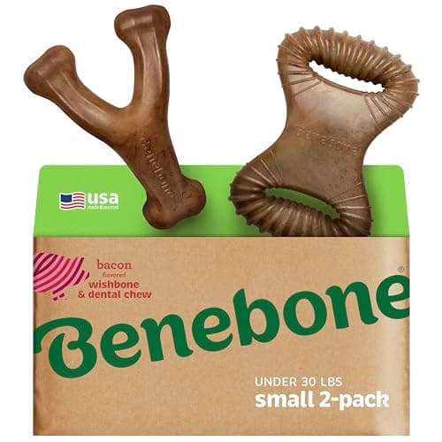 Benebone 2 Count (Pack of 1) Wishbone/Dental Durable Dog Chew Toys, Real Bacon, Made in USA, Small - Image 1