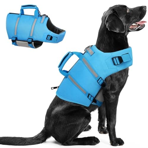 Queenmore Dog Life Jacket, M Dog Life Vest,High Floating Pet Life Vest for Swimming,Lightweight Adjustable Puppy Life Preserver for Boating,Dog Water Vest with Back Zip,Rescue Handle,Hook (Blue M) - Image 1