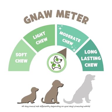 Nature Gnaws Braided Gnaws for Dogs 5-6" (3 Count) - Long Lasting for Small and Medium Dogs - Natural Beef Bully Stick Combo Braids - Rawhide Free - Image 3