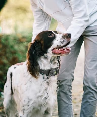 DOG CARE Dog Training Collar, Shock Collar with Beep, Vibration, Safe Static, Dog Training Collar with Remote 1800FT Waterproof Rechargeable E-Collar, Security Lock for All Dogs - Image 9