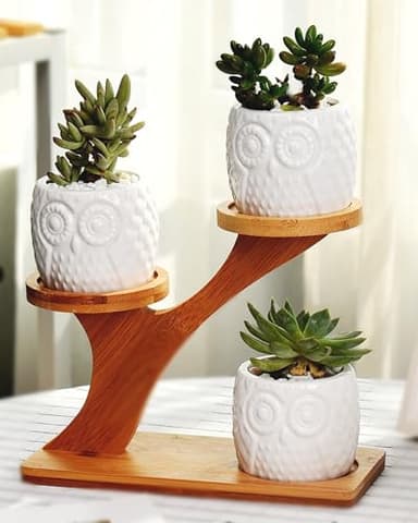 FLOWERPLUS Planter Pots Indoor, 3 Pack 3 Inch White Ceramic Decorative Small Owl Succulent Cactus Flower Plant Pot with Tree Tier Bamboo Stand for Garden Kitchen Home Office Desk Decorations - Image 7