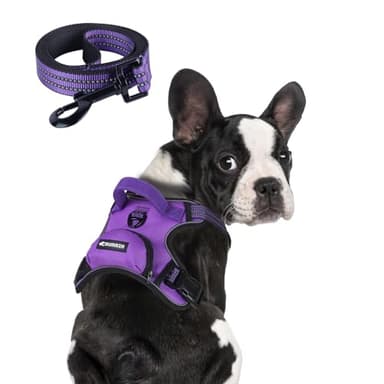 BUMBIN Dog Harness for Large Dogs, No Pull Adjustable No Choke Pet Vest with Dog Leash Fit Smart Reflective Pet Walking Harness for Training Easy Control Soft Handle Purple M - Image 1