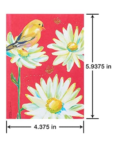 American Greetings All Occasion Card Bundle, Kathy Davis Designs (40-count) - Image 2