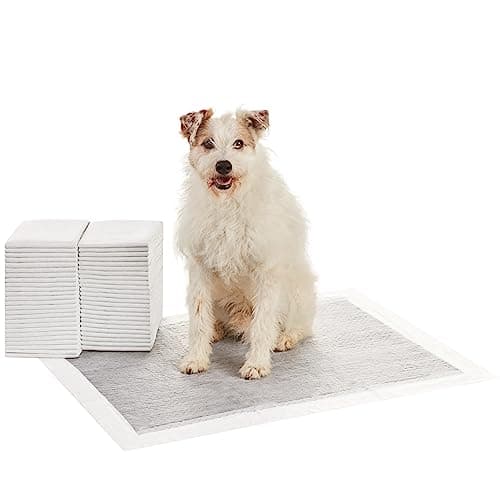 Amazon Basics Carbon Odor-Control Dog and Puppy Pee Pads, 5-Layer Leak-Proof Super Absorbent, Quick-Dry Surface, Potty Training, X-Large (28x34"), 50 Count, Gray - Image 1