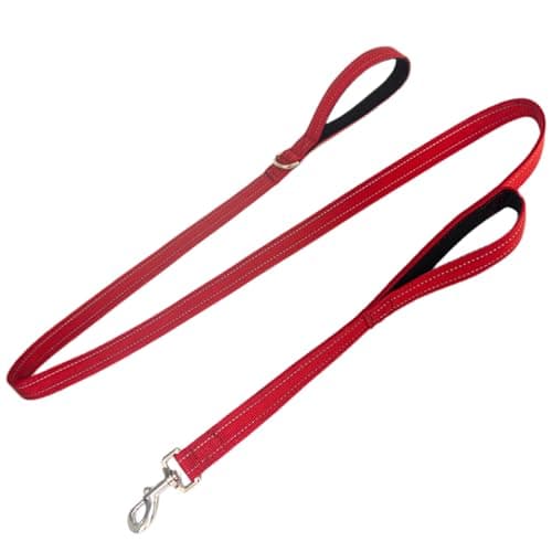 Dual Padded Handle Walking and Training Standard Leashes for Large Breed Dogs That Pull with Reflective Stitching, 360° Rotatable Heavy Duty Metal Buckle,D-Ring,Durable Nylon, 6Ft Long for Big Dogs - Image 1
