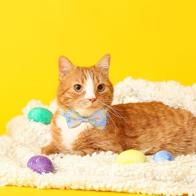 2 Pack Cat Collar with Bowtie and Charms Adjustable Breakaway Safety Design, Bunny and Pastel Egg Patterns, Soft Comfortable Nylon for Small Cats and Kittens - Image 5