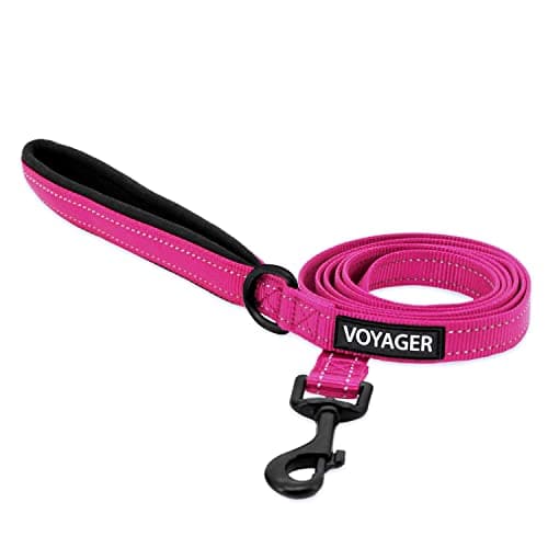 Voyager Reflective Dog Leash with Neoprene Handle, 5ft Long, Supports Small, Medium, and Large Breed Puppies, Cute and Heavy Duty for Walking, Running, and Training - Fuchsia (Leash), S - Image 1